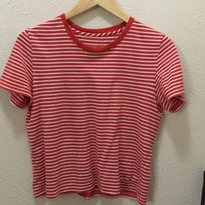 Everlane Small Cotton Box-Cut Tee (gently-used)